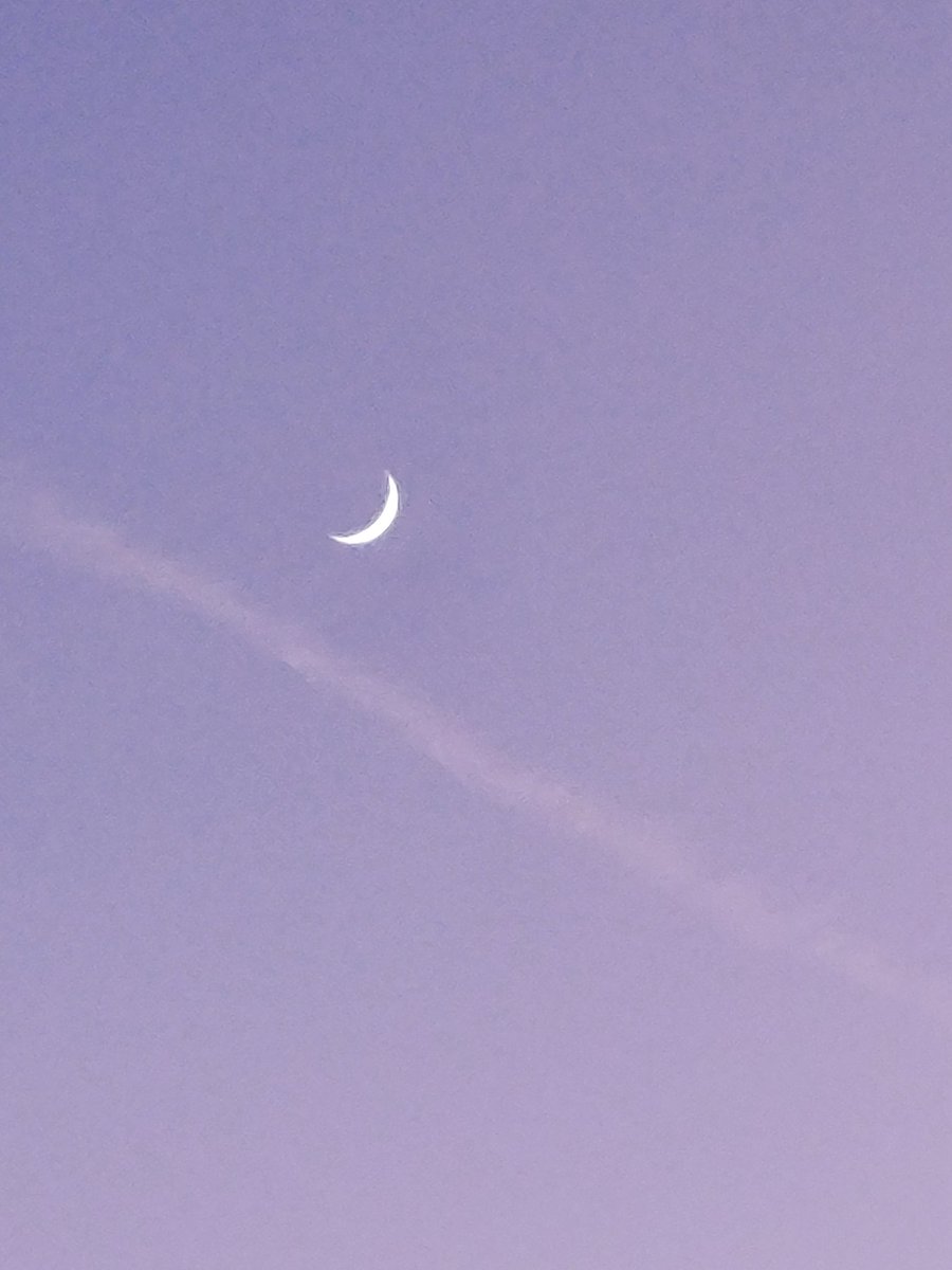 LadyDLuvs420's tweet image. The moon phase is magical 🌙🌌
#LeoPhase