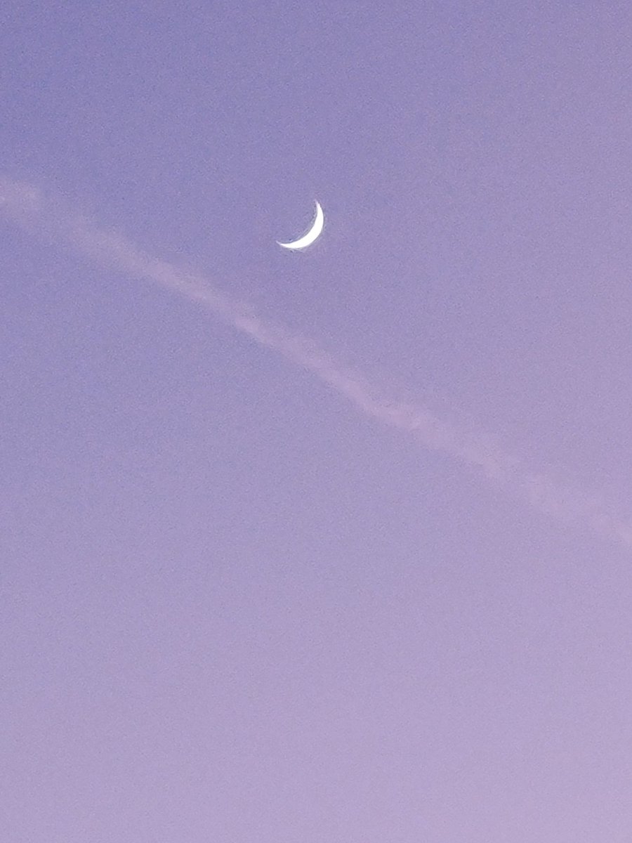 LadyDLuvs420's tweet image. The moon phase is magical 🌙🌌
#LeoPhase