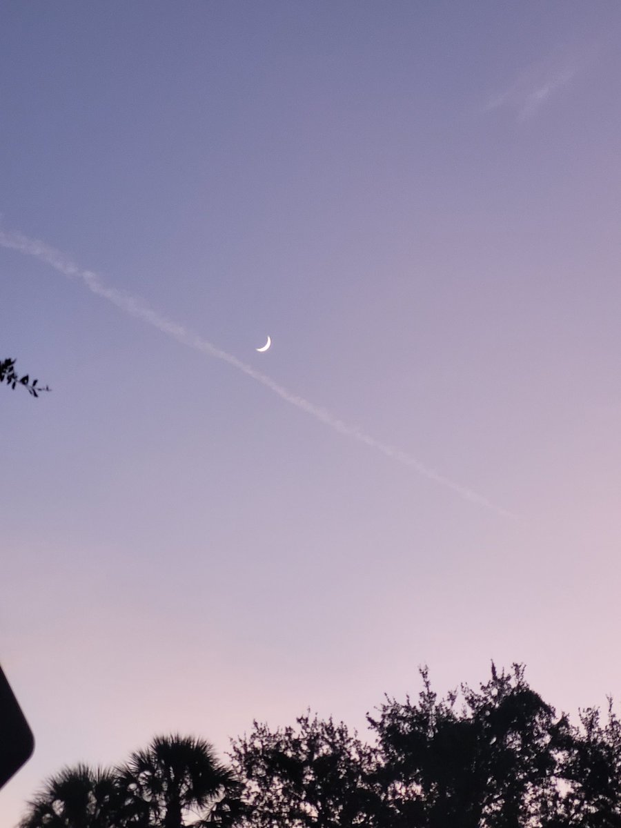 LadyDLuvs420's tweet image. The moon phase is magical 🌙🌌
#LeoPhase