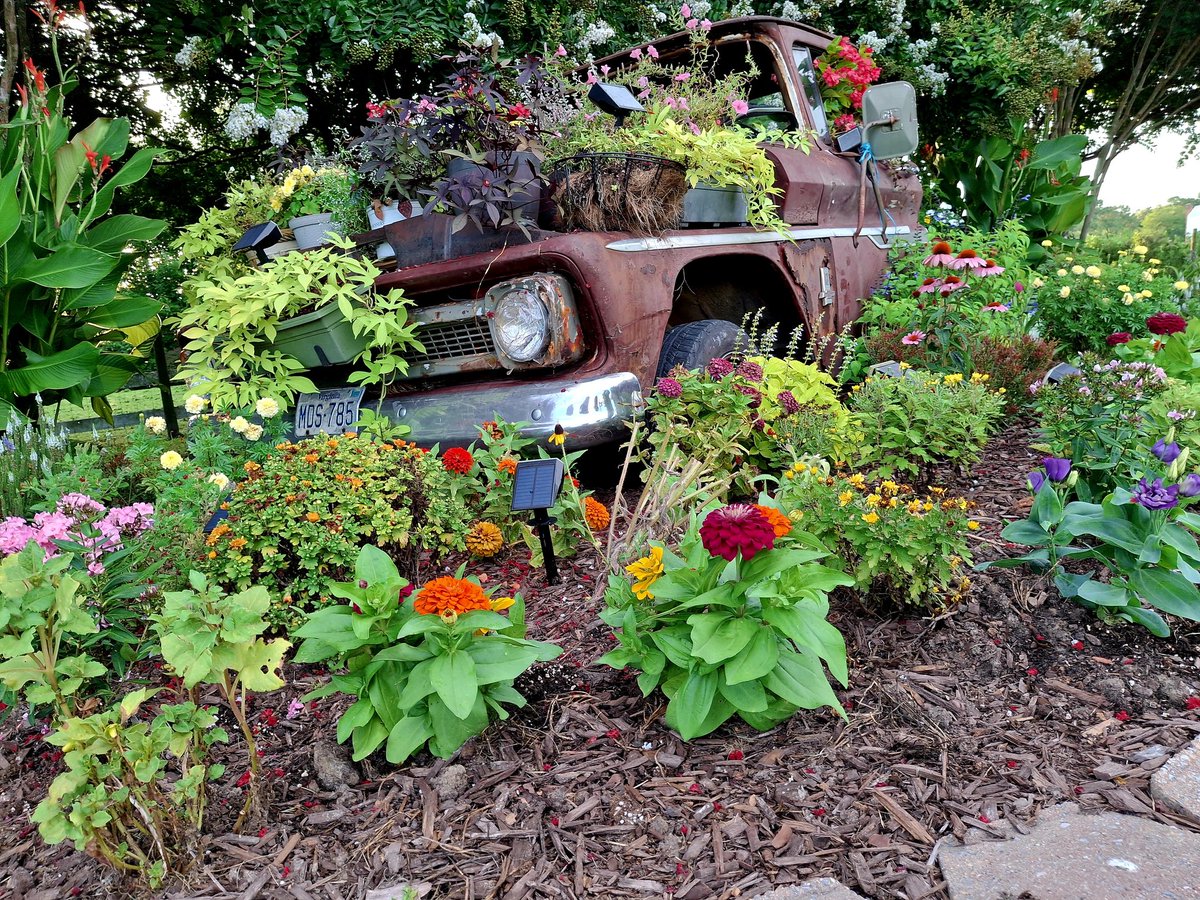 danibecsam tweet media