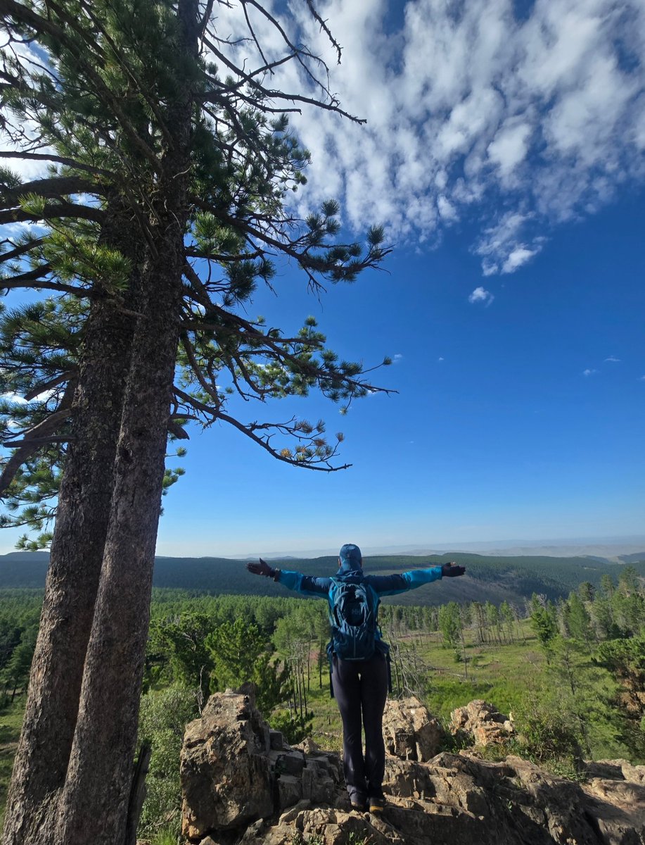 shine_sondor's tweet image. 💚🏔
