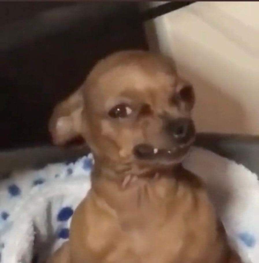 luudeboni12's tweet image. La cara del chabon  viendo que le tocó Miranda 
#LaVozArgentina