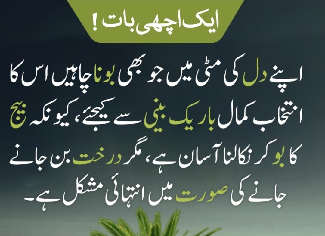 Qadri (@x1myx) on Twitter photo #عطاری_پرموشن
صبح بخیر🎀ʟɪsᴛ-⁵
<a href="/F4R5K/">Raja❤Faheem</a>
<a href="/AH_3_13/">Abdullah Habib</a>
<a href="/jutt1313/">Nazakat Ali Jutt</a>
<a href="/Sn__owy/">ᴬFsheen Maviッ</a>
<a href="/LhriLahori/">Lahori🥰</a>
<a href="/MAkhtar125/">Muhammad Akhtar</a>
<a href="/masif350050/">Asif Attari رضوی</a>
<a href="/arshad740618/">باغی</a>
<a href="/maveedkutchi/">نوید سمیجہ</a>
<a href="/juttbrand3546/">UMAR (JUTT)</a>
<a href="/shakir_daudzai/">DAUDZAI</a>
@burhan_gondal
<a href="/Asim_Rizvi_864/">🇵🇰🇵🇸غاذی عاصم علی🇵🇸🇵🇰</a>
<a href="/riazalimughal65/">𝐑𝐢𝐚𝐳 🅰️𝐥𝐢 🇵🇸🇵🇰</a>
<a href="/IbrarHu0167077/">Ibrar Hussain</a>
<a href="/FaizanQadr77792/">Faizan Qadri</a>
<a href="/GhulamH3147495/">Ghulam Hussain</a>
<a href="/UmmeRubab9263/">Umme Rubab</a> #عطاری_پرموشن
صبح بخیر🎀ʟɪsᴛ-⁵
<a href="/F4R5K/">Raja❤Faheem</a>
<a href="/AH_3_13/">Abdullah Habib</a>
<a href="/jutt1313/">Nazakat Ali Jutt</a>
<a href="/Sn__owy/">ᴬFsheen Maviッ</a>
<a href="/LhriLahori/">Lahori🥰</a>
<a href="/MAkhtar125/">Muhammad Akhtar</a>
<a href="/masif350050/">Asif Attari رضوی</a>
<a href="/arshad740618/">باغی</a>
<a href="/maveedkutchi/">نوید سمیجہ</a>
<a href="/juttbrand3546/">UMAR (JUTT)</a>
<a href="/shakir_daudzai/">DAUDZAI</a>
@burhan_gondal
<a href="/Asim_Rizvi_864/">🇵🇰🇵🇸غاذی عاصم علی🇵🇸🇵🇰</a>
<a href="/riazalimughal65/">𝐑𝐢𝐚𝐳 🅰️𝐥𝐢 🇵🇸🇵🇰</a>
<a href="/IbrarHu0167077/">Ibrar Hussain</a>
<a href="/FaizanQadr77792/">Faizan Qadri</a>
<a href="/GhulamH3147495/">Ghulam Hussain</a>
<a href="/UmmeRubab9263/">Umme Rubab</a>