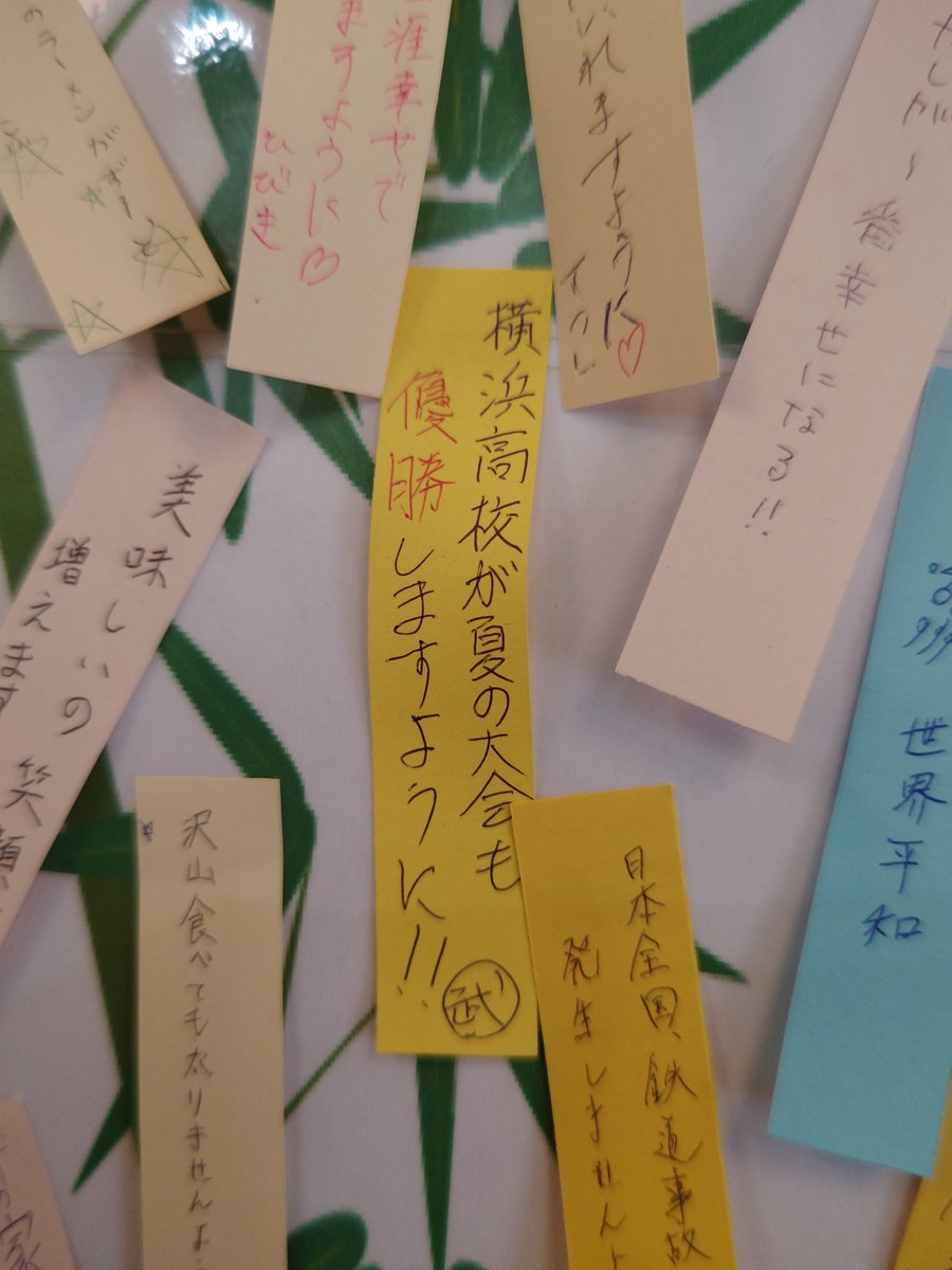 yokohamaramenmi's tweet image. おはようございます☀

今日も暑い京急富岡です

横浜高校
神奈川県大会優勝おめでとうございます

峰の家のお客様も応援しております!!

本日もらーめん日和

よろしくお願いいたします!