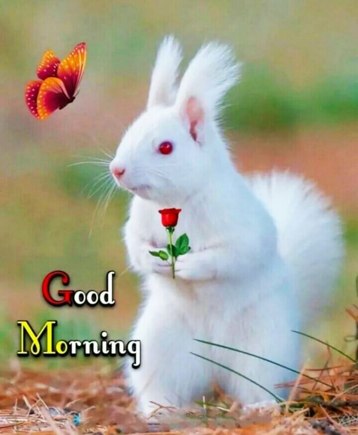 இனிய காலை வணக்கம்...
உடன்பிறப்புகள் அனைவருக்கும் இன்றைய தினம் இனிமையாக அமைய எங்கள் மித்ரா கேட்டரிங் சர்வீஸ் சார்பில் வாழ்த்துகள்....