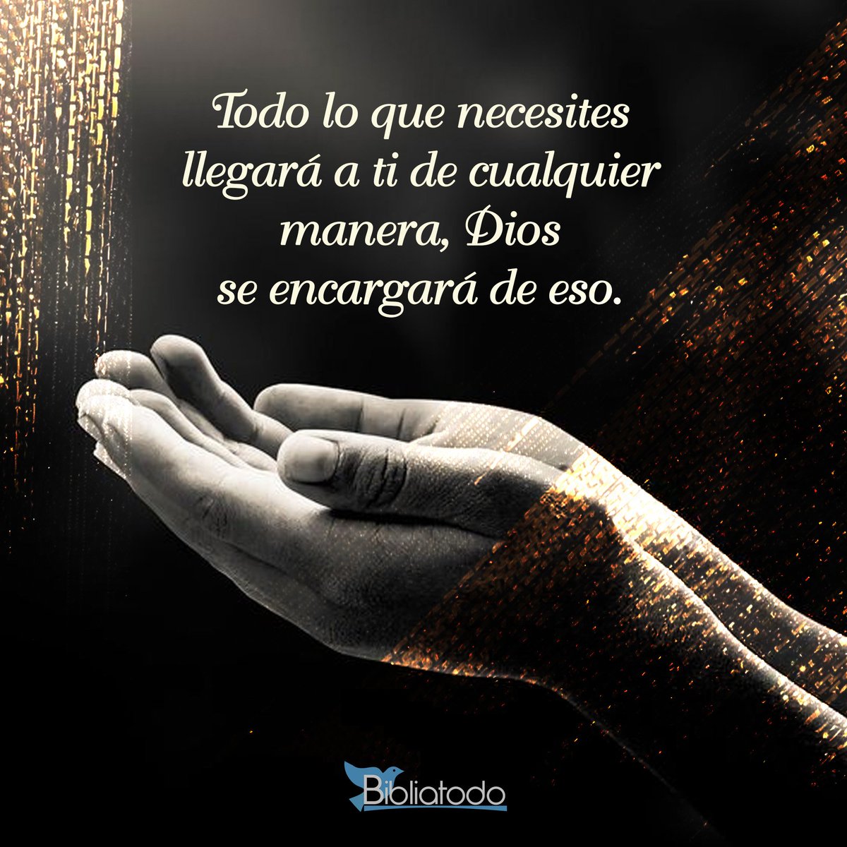 Buenas noches mundo...