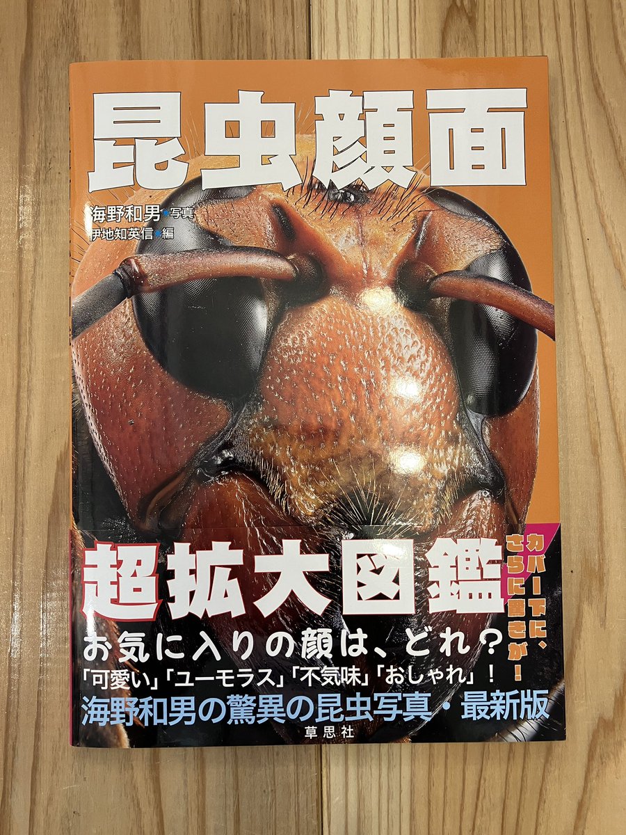 makobee6's tweet image. たびたび書店営業の日々。
いつもありがとうございます。入荷した本の一部、紹介します。おもしろい本満載です。本日も21時まで、本当の真実がつかめるまでばりばり営業しております。
#たびたび書店
