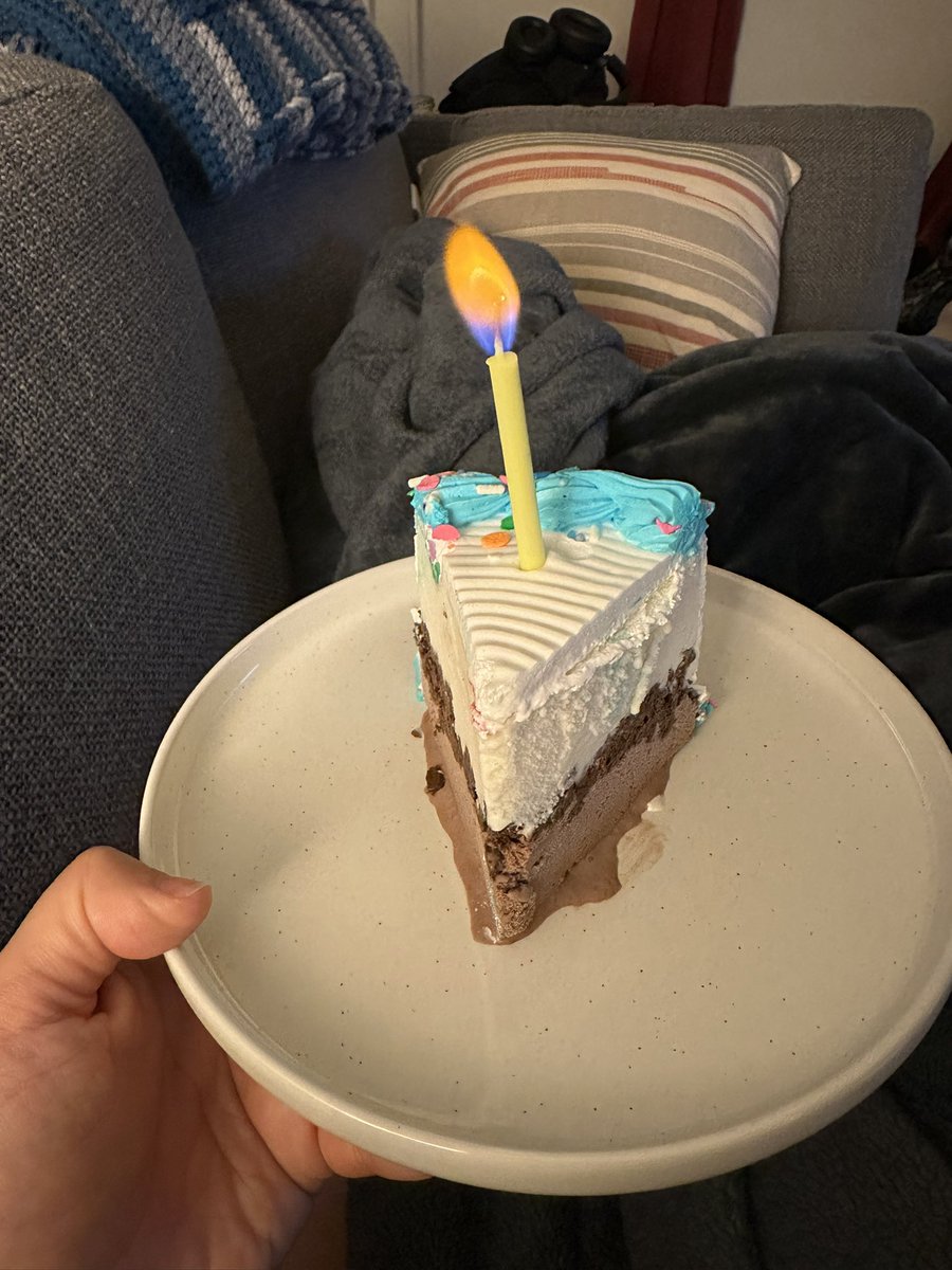 knittykitty's tweet image. ✨ a happy birthday indeed ✨
