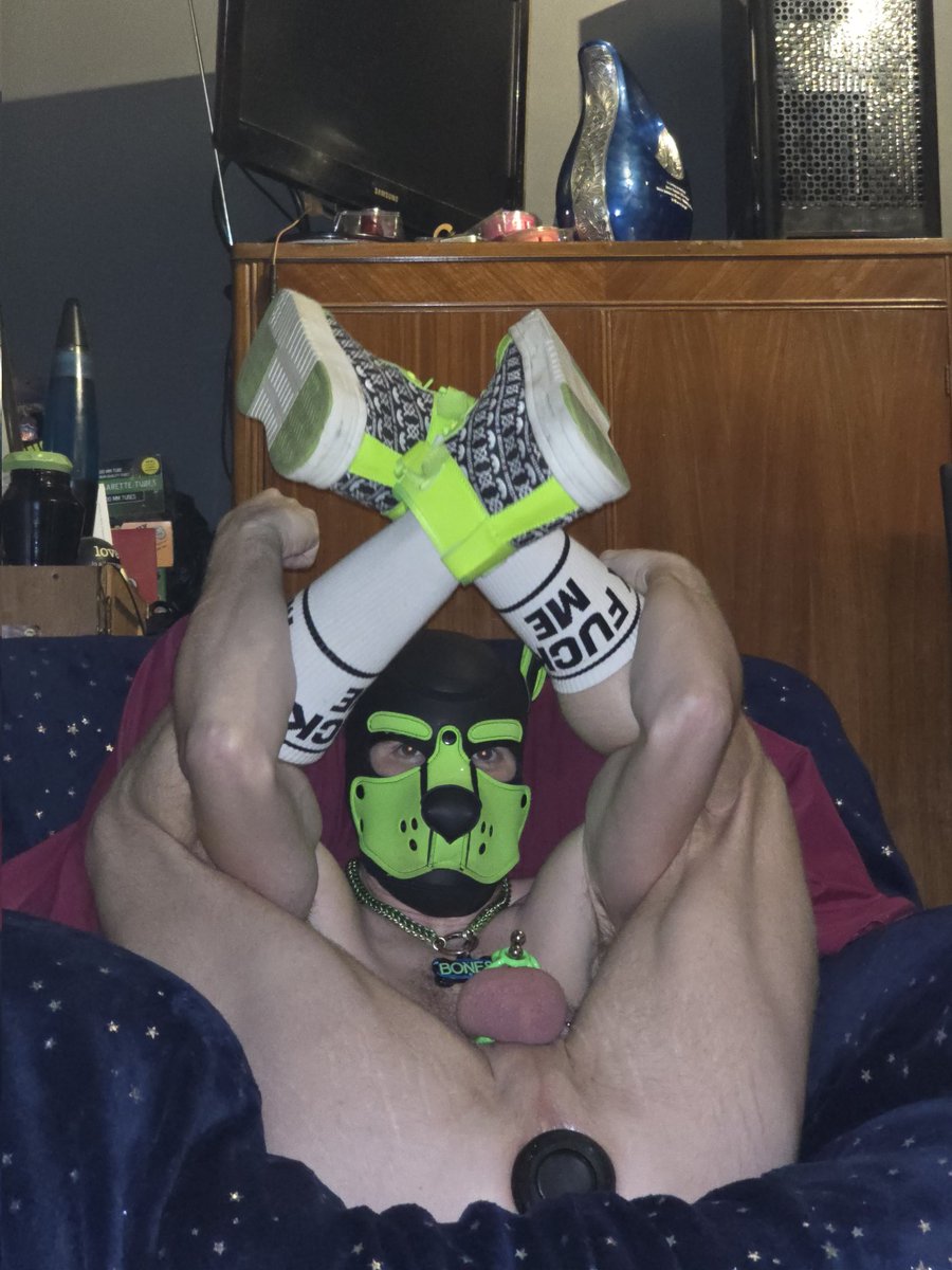 Sub Pup Bones tweet media