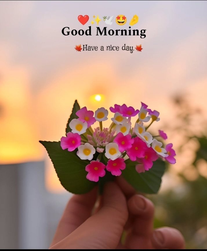 #Assalamu_Alaikum 

कैसे हो साथियों आप सबका क्या हाल है??

#GoodMorningXFriends ❣️