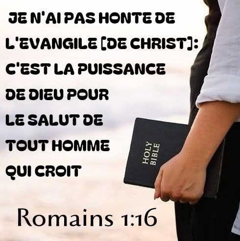 docmanoto's tweet image. Alléluia !