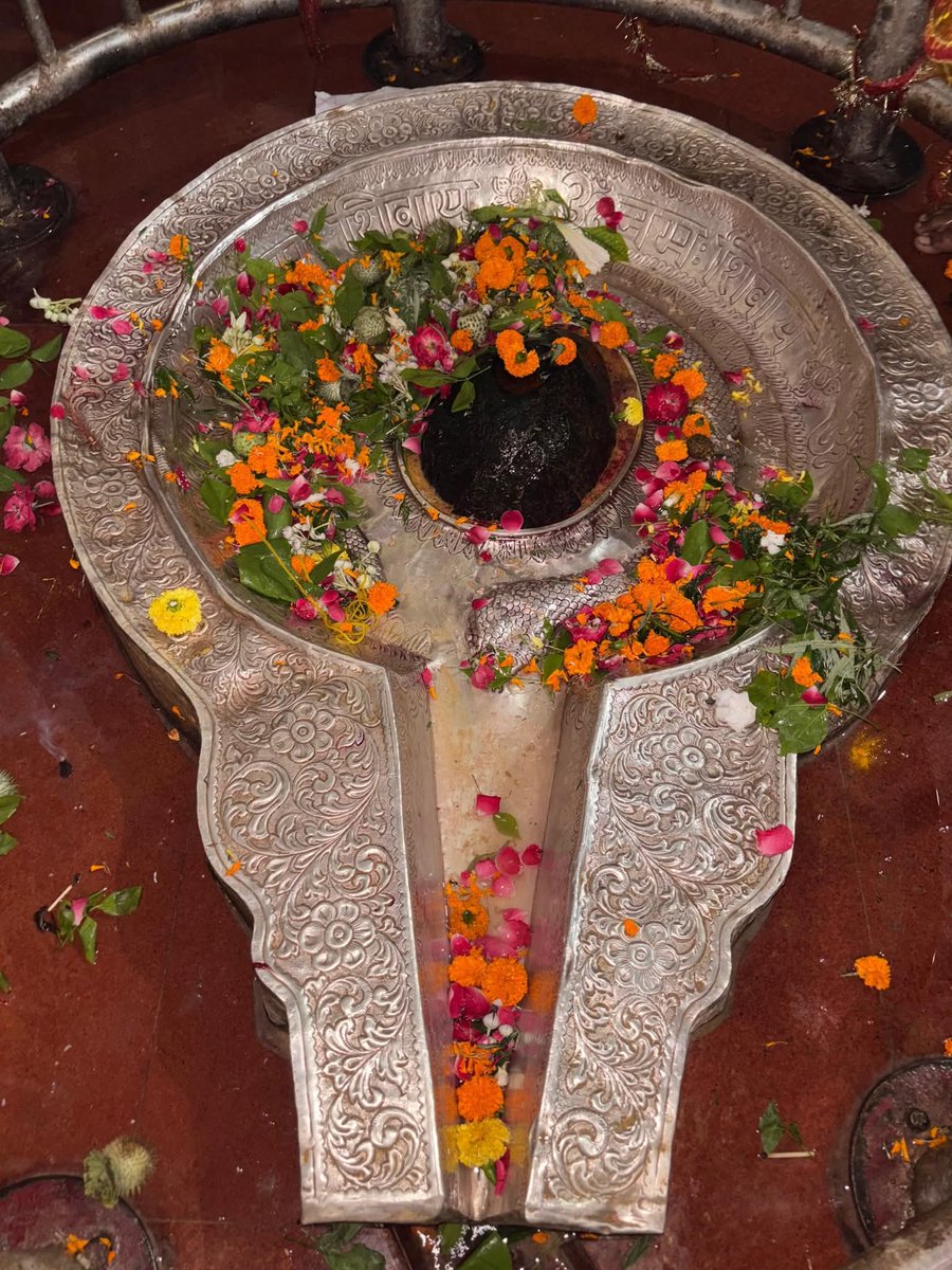 प्रातःकाल दर्शन,🙏
 
जय श्री भँवरेश्वर महादेव।❤️🌸🔱