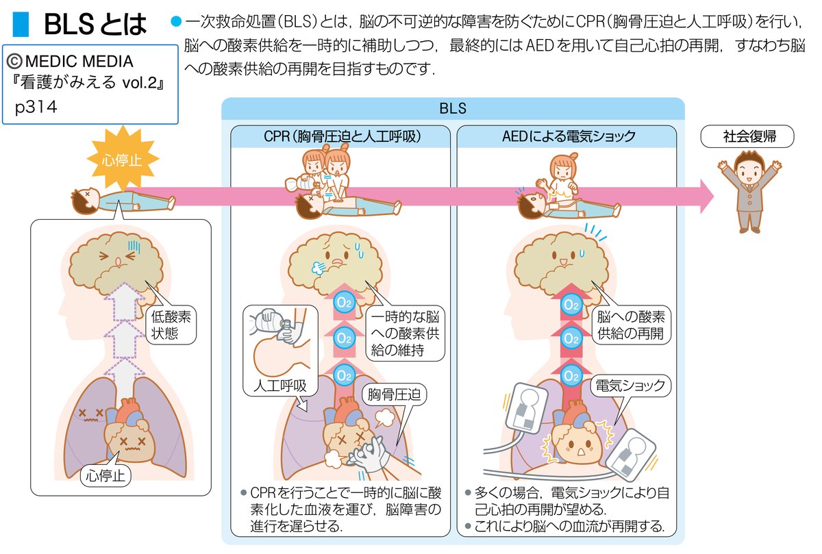 ⋱ 一次救命処置、どうする？ ⋰ BLS #看みえ #看護がみえる #看護学生
