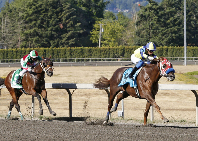 EmeraldDowns's tweet image. Sunday wrap

emeralddowns.com/50000-irish-da…