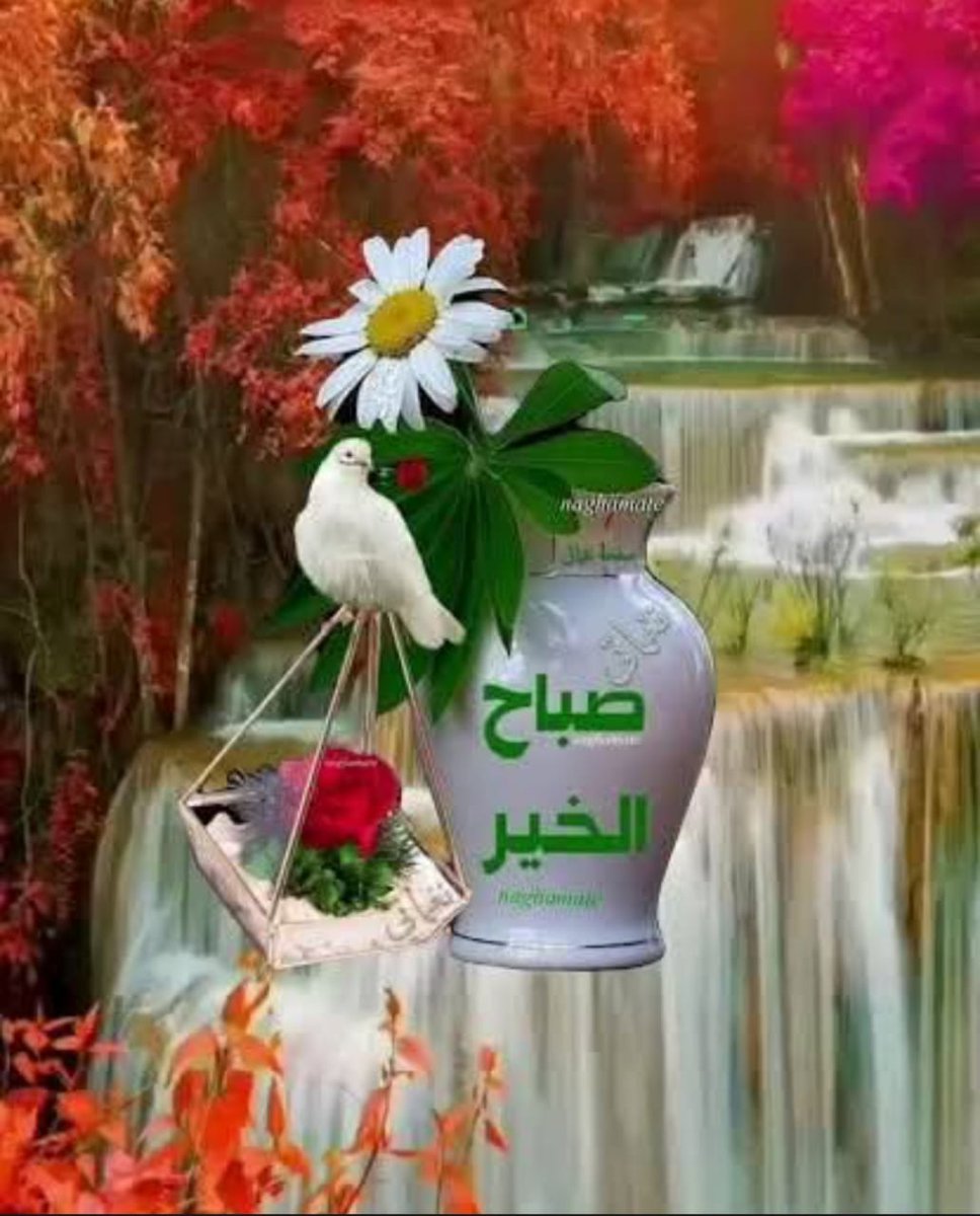 آلُِمهـندِس آلُِجٍآبَرٍي (@ah_irqa) on Twitter photo <a href="/waleed88197/">وليد المنصوري(( امير المؤمنين دليل عدالة السماء))</a> •°•°•°•
#اللهم_صل_علی_محمد_و_آل_محمد_وعجل_فرجهم <a href="/waleed88197/">وليد المنصوري(( امير المؤمنين دليل عدالة السماء))</a> •°•°•°•
#اللهم_صل_علی_محمد_و_آل_محمد_وعجل_فرجهم