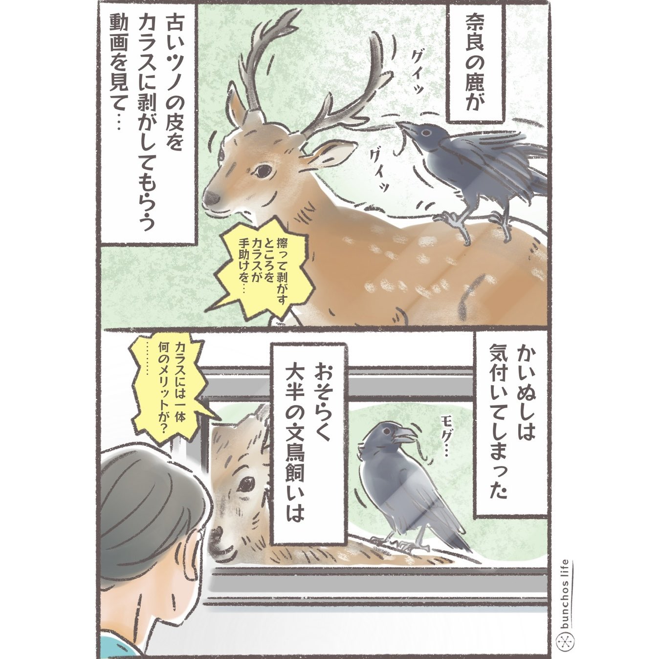 こむぎこお纏め4点 こむぎ子 (@komugikooo) / X