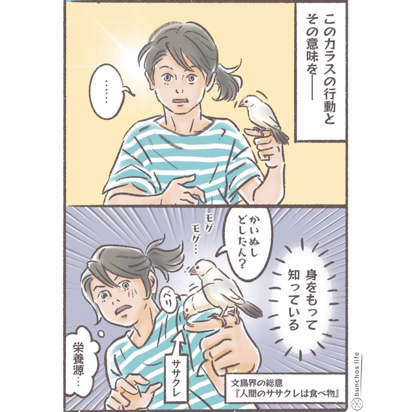 こむぎ🕊️ (@komugi_chan55) / X