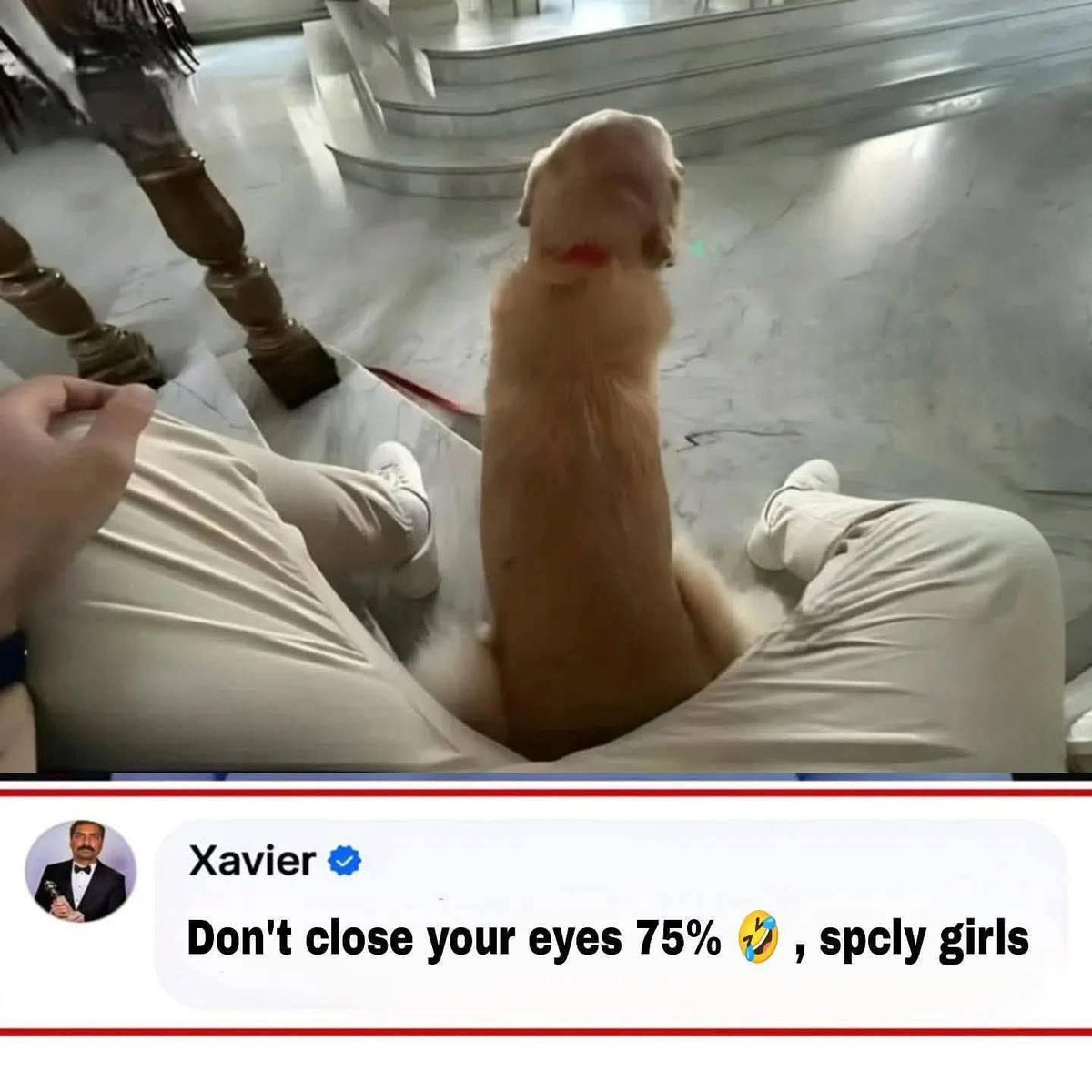 missykay (@billme68pt2) on Twitter photo ๐๐คฃ ๐๐คฃ