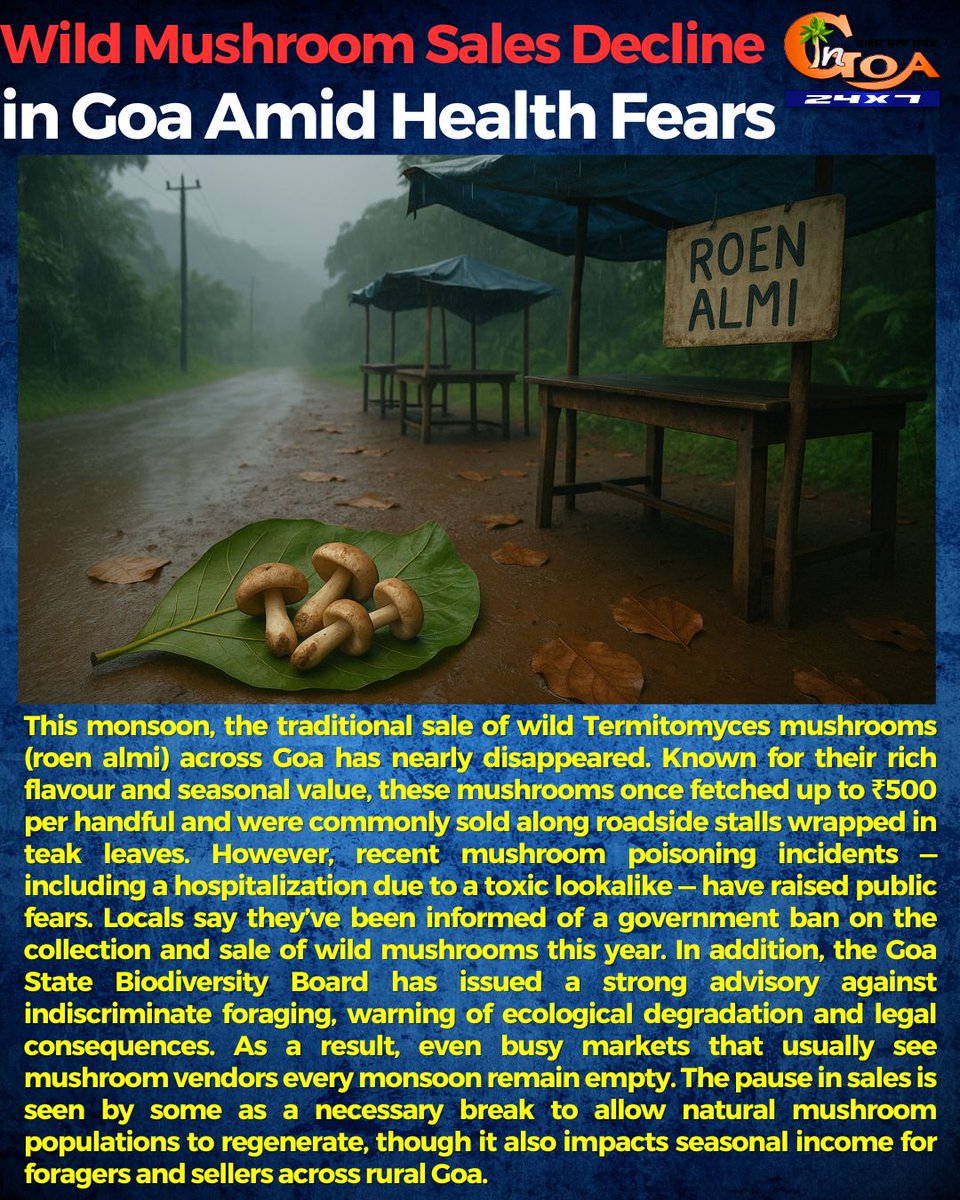 🍄 Goa’s iconic wild mushrooms (Roen Almi) are missing this monsoon.

🚫 No roadside vendors
⚠️ Health scares, toxic lookalikes &amp; govt advisories
🌱 Ecological concerns pause foraging across the state
A tradition on hold. #Goa #RoenAlmi #Monsoon2025 #FoodSafety