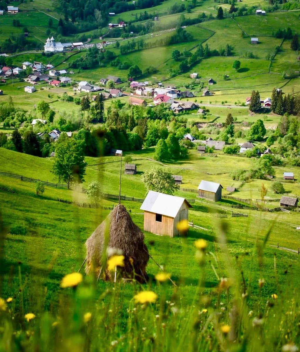 xyzwtf_55's tweet image. Good morning everyone 😊
#photography
#photographer
#hills 🇷🇴