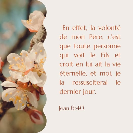 docmanoto's tweet image. Amen !