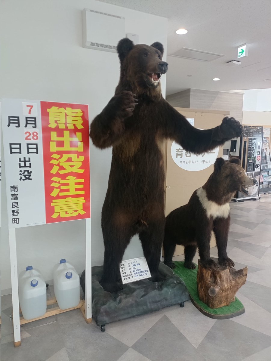 toshiki_itakura's tweet image. イトウとヒグマ