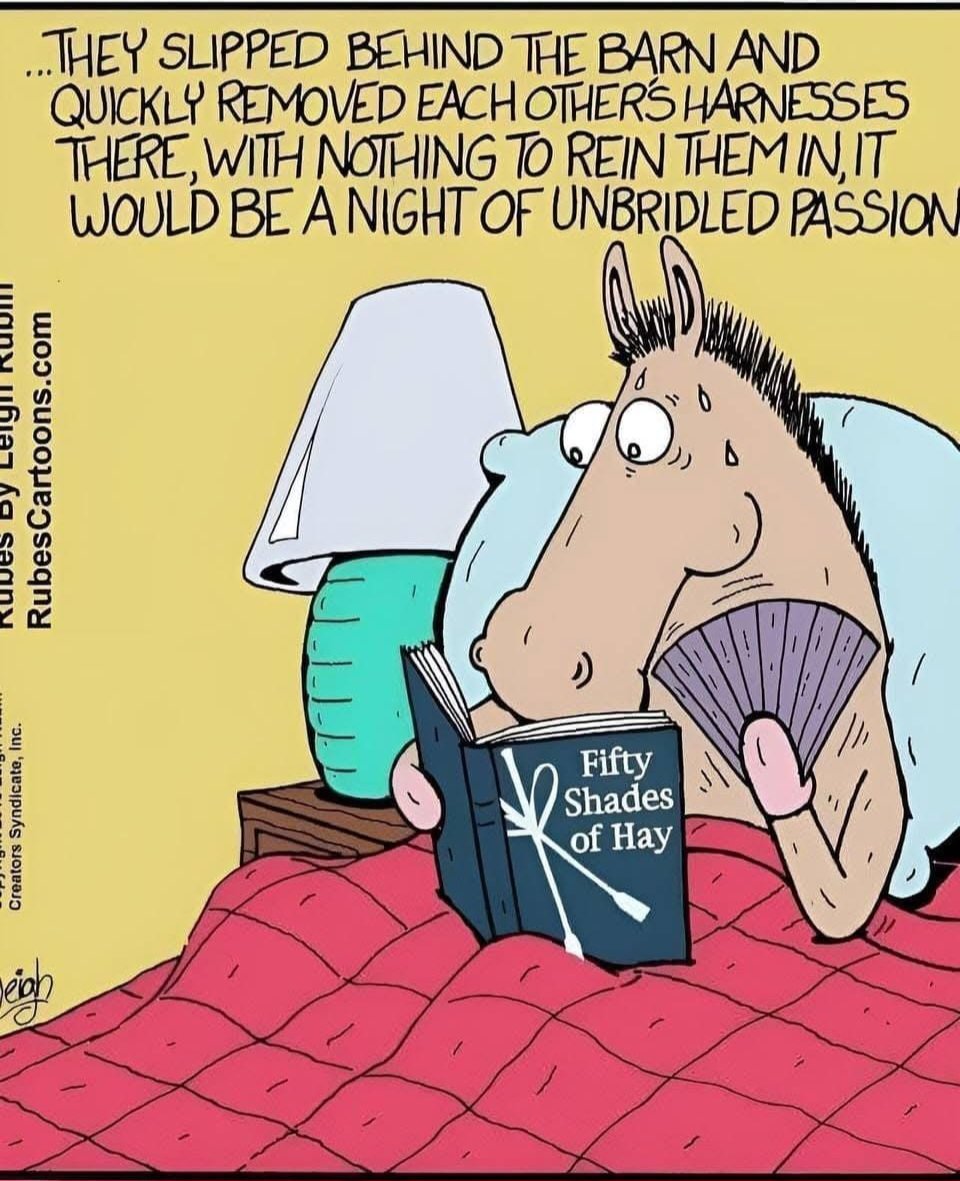 KeriP33's tweet image. Fifty shades of hay! ๐๐คฃ๐คญ