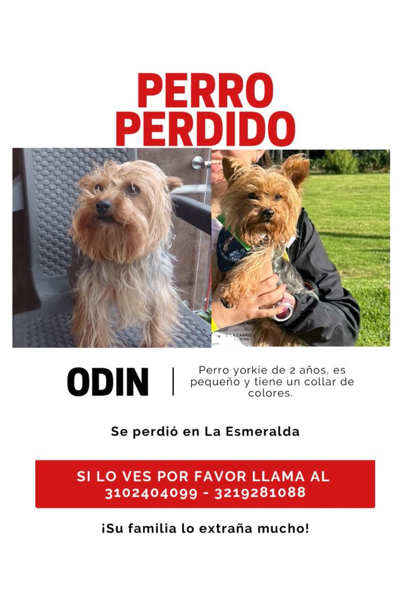 🆘 Difundir por favor 🙏🏼     
<a href="/losbuscamos_col/">Animalitos Perdidos</a>  
<a href="/andreanimalidad/">Andrea Padilla Villarraga🐆</a> <a href="/piedrahitangela/">Ángela Piedrahita 🐤</a> <a href="/juliherrerap/">Rosa Juliana Herrera Pinto🐾👣</a> <a href="/Marce_Tabares/">Marce Tabares 🐶</a> <a href="/margaritavela/">Margarita Vela 🌳🍀🌽🌼</a> <a href="/DanielSamperO/">Daniel Samper Ospina</a> <a href="/MarkLeeOficial/">Mark Lee</a>  @camilochara <a href="/AleGiraldoP/">Alejandra Giraldo</a>