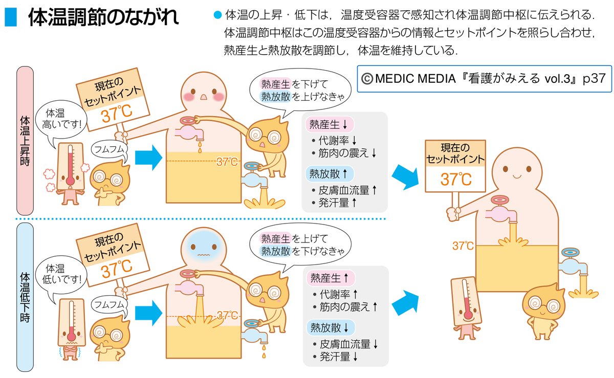 看護師　看護学生　参考書籍　全10冊セット【バラ売り可】病気がみえる　等 新人看護師向け】『病気がみえる』シリーズだけじゃない