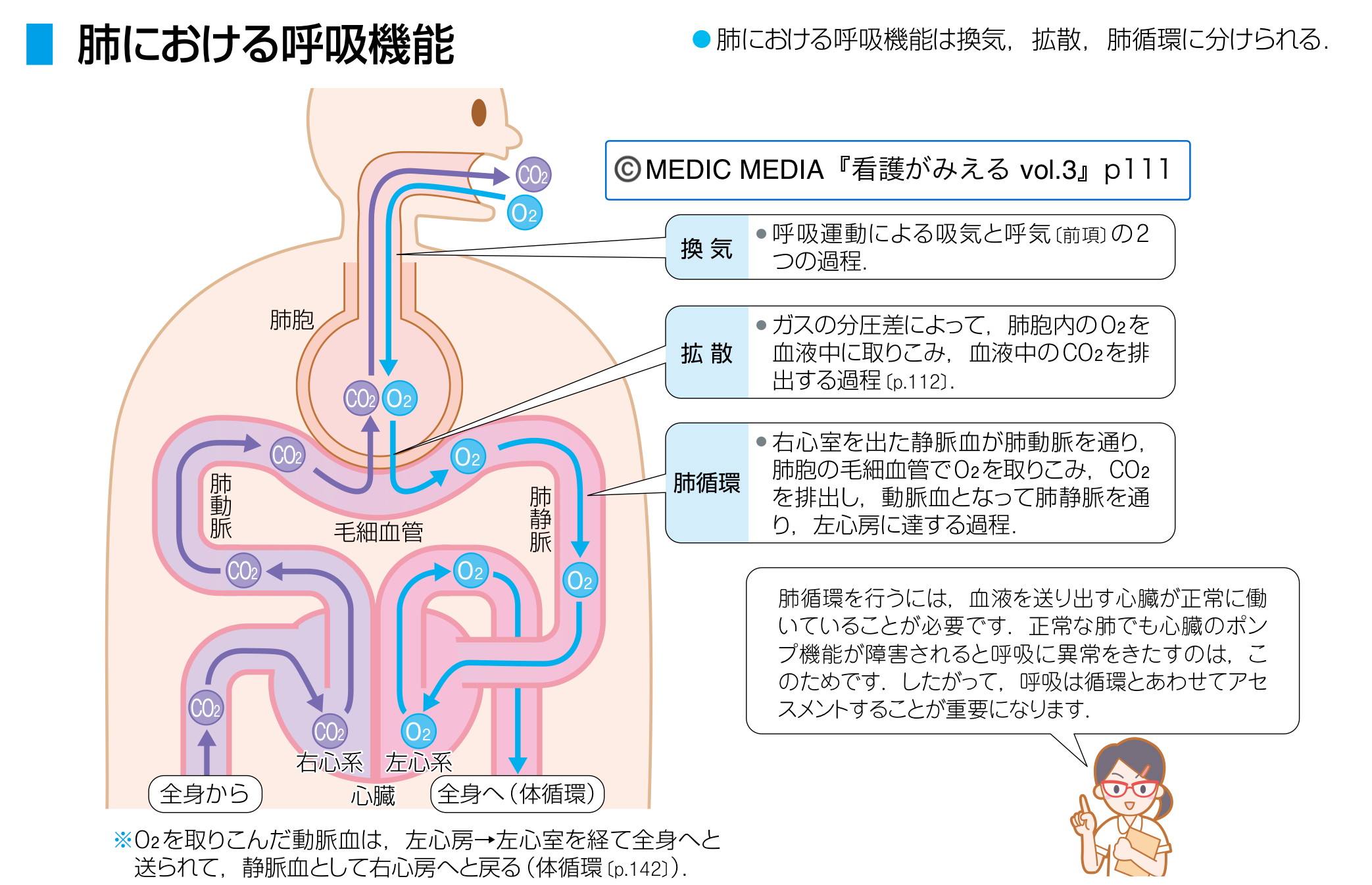 看護がみえる　1-5セット、公衆衛生がみえる 公衆衛生がみえる | 医療情報科学研究所 |本 | 通販 | Amazon