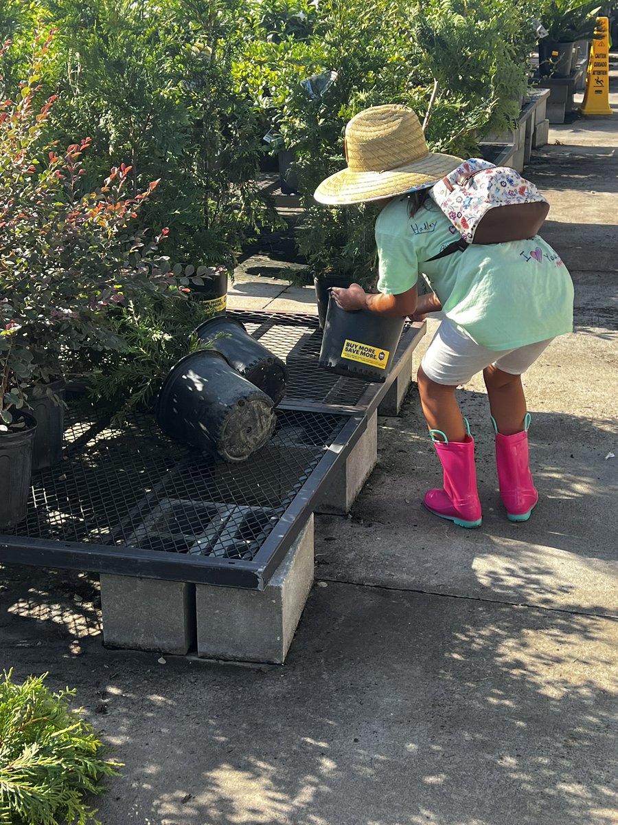 TarynA83's tweet image. We were walking around Lowe’s garden center today. Some of these trees had fallen on the ground. Without me saying a word, she runs over to them and says “oh,no! They don’t like being knocked over like that!” And she put them back on their platform! She never ceases to amaze me…