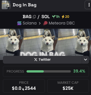 Chasing_Memes's tweet image. dex paid with 20 boost, lets send this dog in a bag where it belongs.