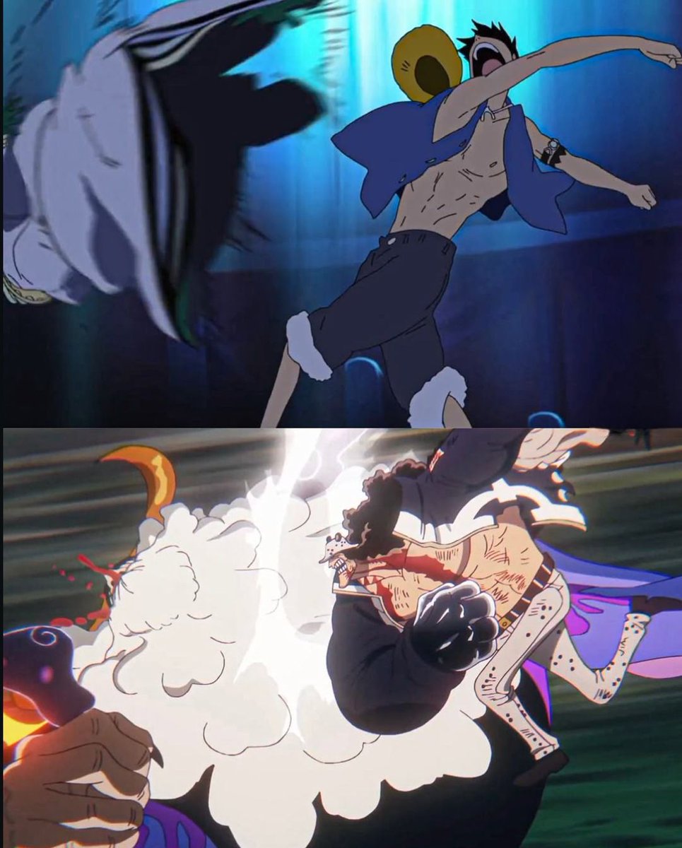 One Piece Daily tweet media