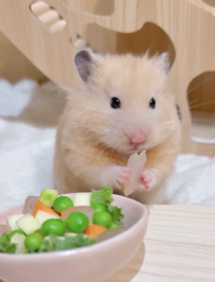o3o2_sss's tweet image. 
