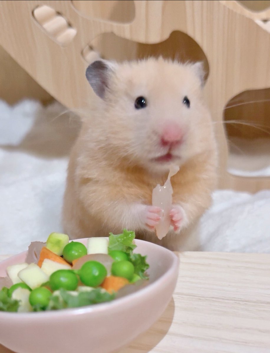 o3o2_sss's tweet image. 
