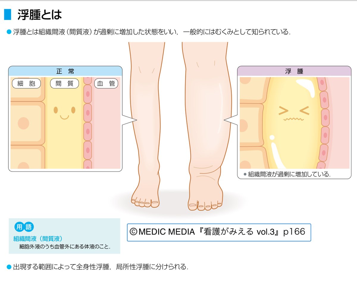 看護がみえる 病気がみえる まとめ売り セット 看護師 新人 看護学生 新人看護師向け】『病気がみえる』シリーズだけじゃない