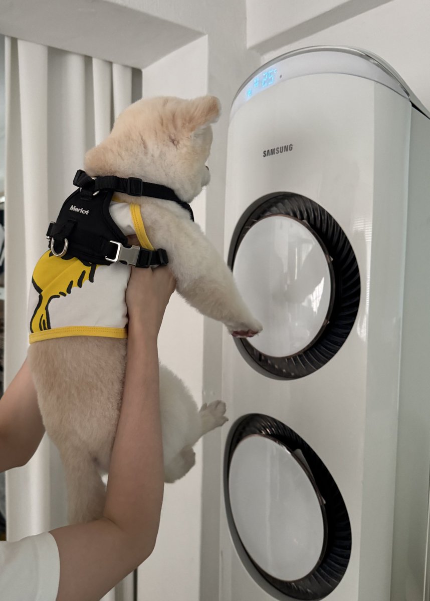 너무더워서 강아지부터 시원하게 하는중 …….. 죽겟어요