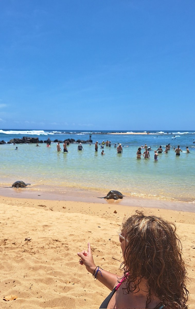 teach_teachM's tweet image. #HiloVeraniego yo dejo el protagonismo de la foto del verano a estas dos bellezas que descansan. Saludos desde el otro lado del mundo☺️👋🏼sigamos disfrutando!🌸 #claustrovirtual