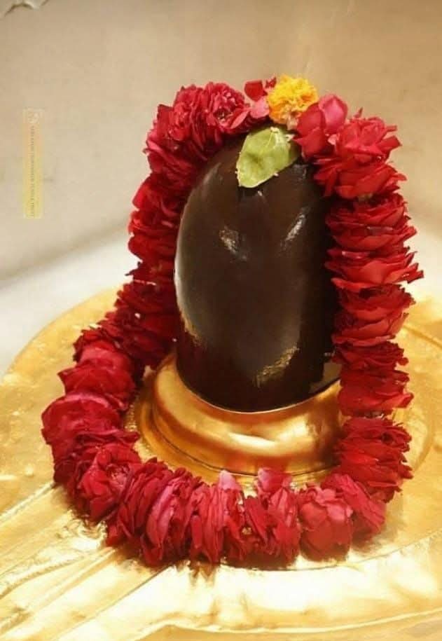 _pinki_thakur's tweet image. पवित्र श्रावण माह, तृतीय सोमवार, 28 जुलाई 2025 को प्रातः कालीन बेला में भगवान श्री विश्वेश्वर जी की प्रात: कालीन दर्शन।🙏💙🌸🔱
IIश्री काशीविश्वनाथो विजयतेतराम II