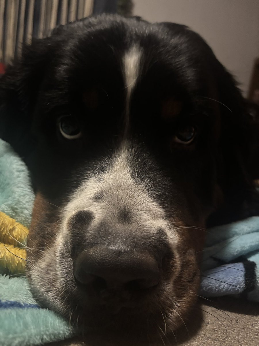 What do you want?