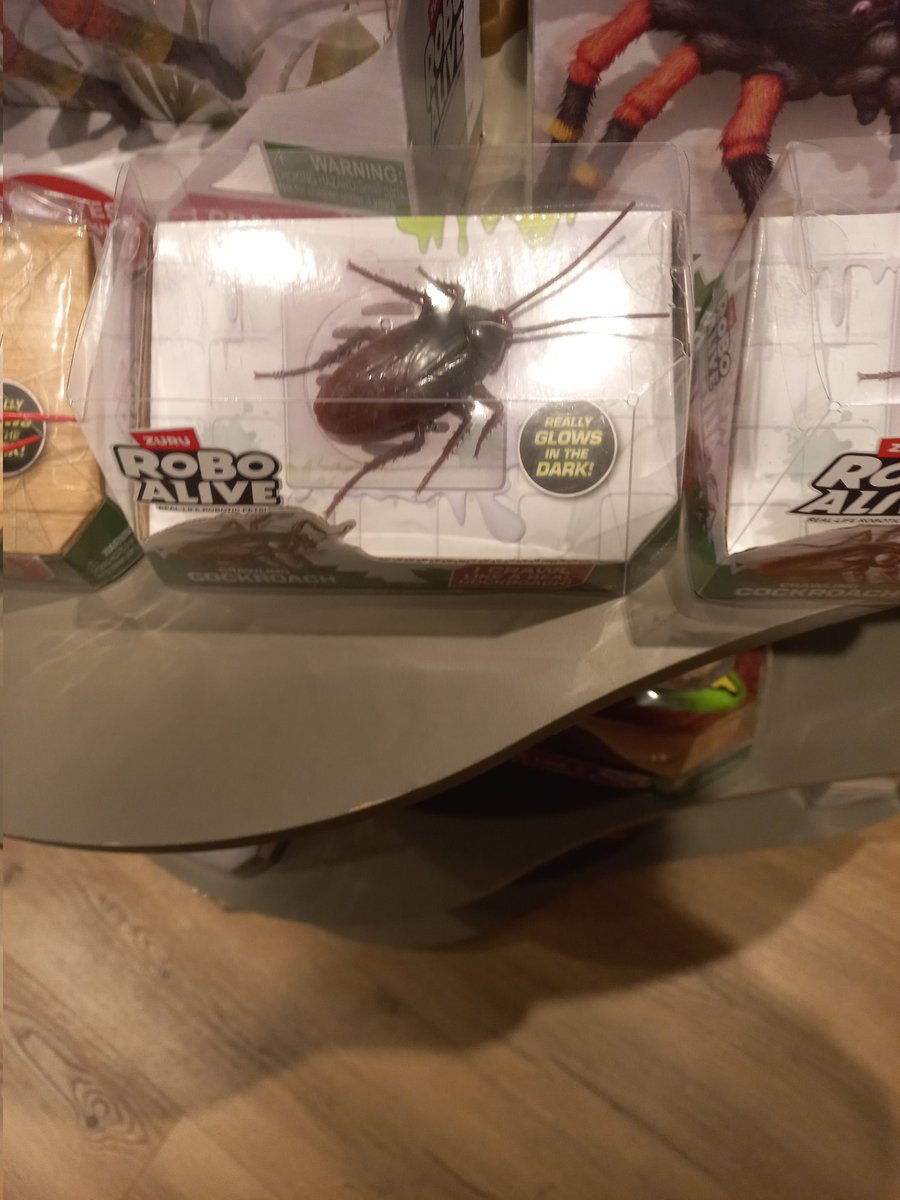agusutint's tweet image. mira amor, ahorre mucho para poder regalarte esta cucaracha a control remoto