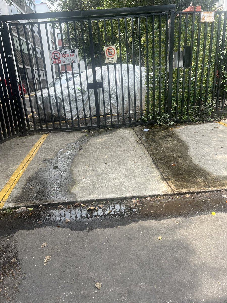 Esta fuga se ha reportado por tres semanas esperamos atiendan lo más pronto posible , calle E. Pallares y Portillo 164 colonia San Lucas Coyoacán entre Pensilvania y San Lucas <a href="/Alcaldia_Coy/">Alcaldía de Coyoacán</a> <a href="/GobCDMX/">Gobierno de la Ciudad de México</a> <a href="/FugasDeAguaCBL/">Fugas de AGUA en Ciudad Bolívar #CBL</a> <a href="/giogutierrezag/">Giovani Gutiérrez</a> <a href="/ClaraBrugadaM/">Clara Brugada Molina</a> <a href="/SACMEX_DENUNCIA/">Denuncia SACMEX</a>