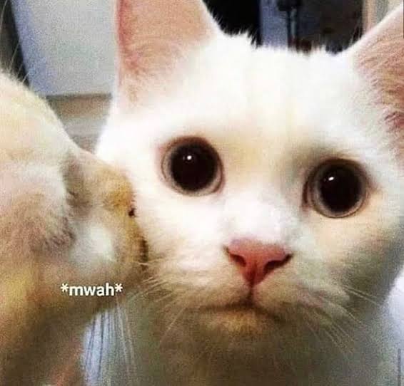 neo__pessimist's tweet image. Reminder for my creative friends or friends that spend a lot of time doing things while sitting, get up and stretch🫵 drink some water, unclench that jaw, clean your glasses!!