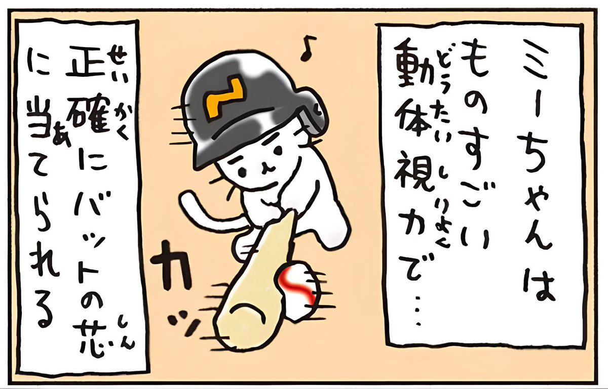 nekop_staff's tweet image. 読売新聞オンラインでは #猫ピッチャー の最新3話を公開中です。
猫の動体視力は人より優れているそう。なので、ミー太郎はバットの芯にボールを確実に当てられるのですが、ちょっと調子が芳しくないようです。
yomiuri.co.jp/neko-pitcher/c…