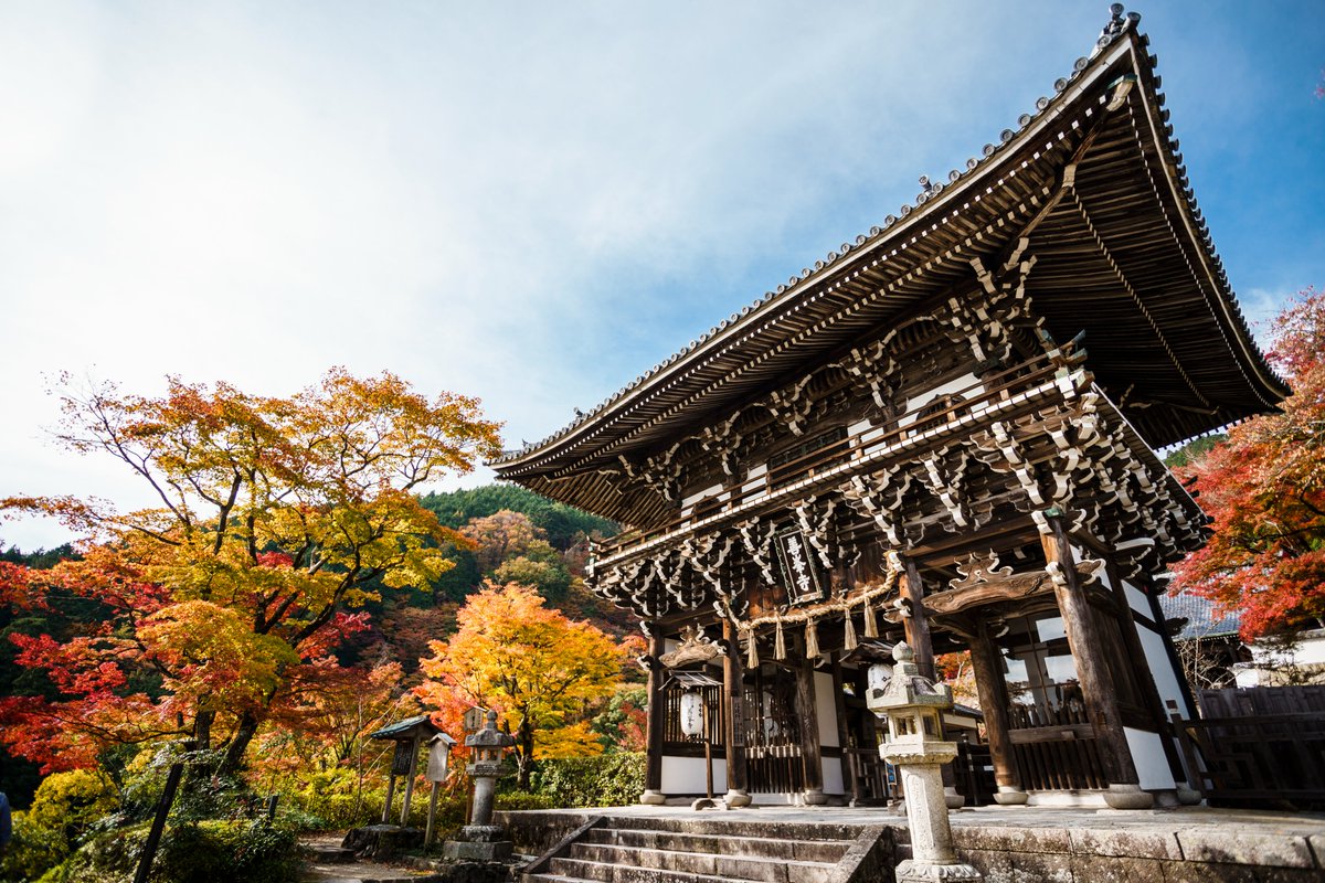 ＼✨京都西山はいいぞ！フォトコンテスト✨開催中！／
京都西山エリア魅力を伝えるフォトコンテストが行われています📷
（京都市西京区・向日市・長岡京市・大山崎町）で撮影した自然風景やイベント、グルメ、暮らしなどを1シーンにおさめた京都西山の美しさや楽しさが写真を募集しています。
