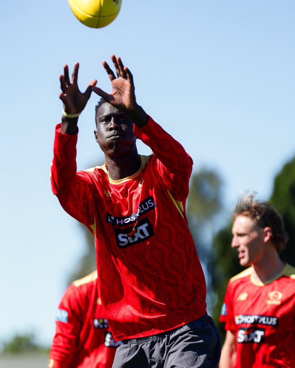 GoldCoastSUNS's tweet image. Back to work 🤝