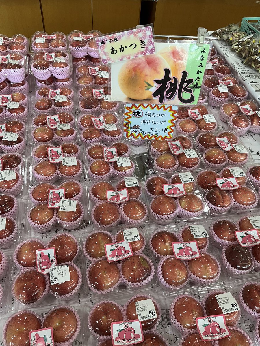 只今、南方産の桃🍑が入荷いたしました‼️
甘くて美味しいですよ😋
昨日、ミヤギテレビで放送されました
もっこりニラを使用した、桜久楽食堂の
『ニラレバ定食』も絶賛販売中です♪
#道の駅みなみかた #登米市 #かたいもも #ニラレバ定食 #桜久楽食堂 #もっこりニラ #もっこりの里