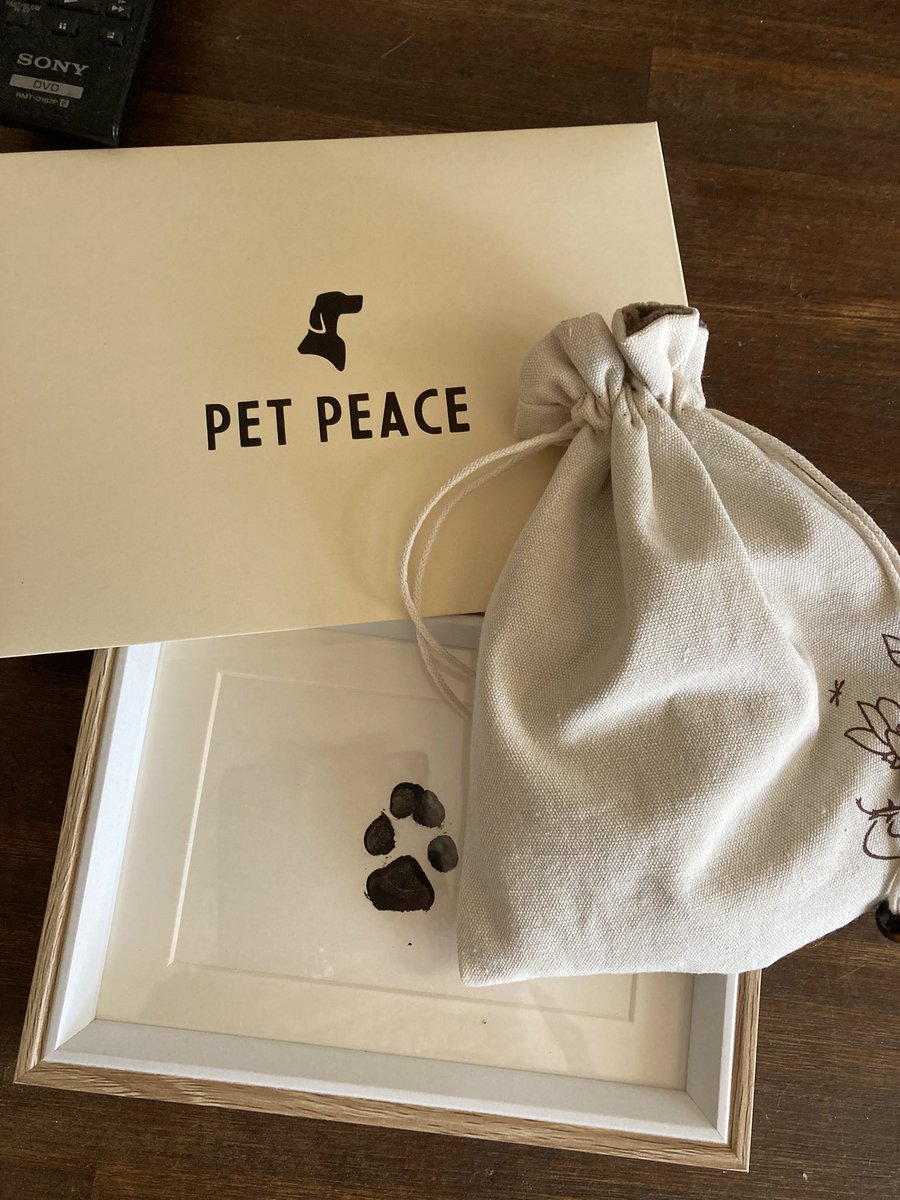 TankVaxxed's tweet image. The gnarly neighbour organised this. 
To the man who allows his dogs to chase and attack, if I ever find you I’m going to sue you for every fucking thing you own. A pox on you and your vicious dogs
