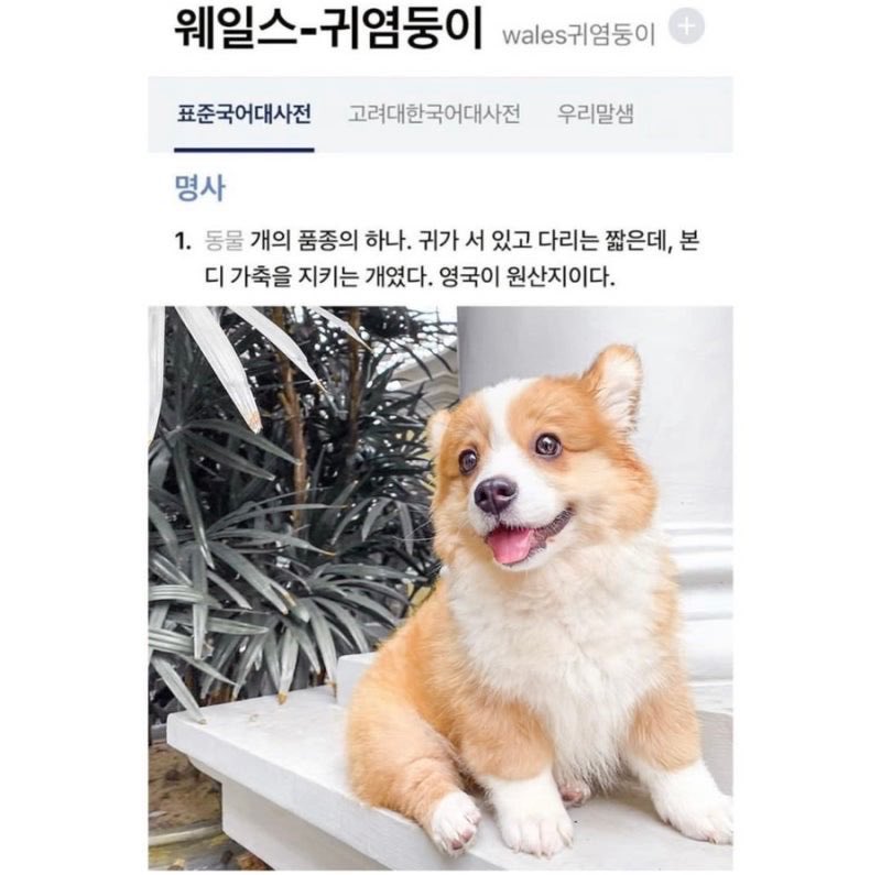 Heerabbit1019's tweet image. 전희진-귀염둥이🩷
