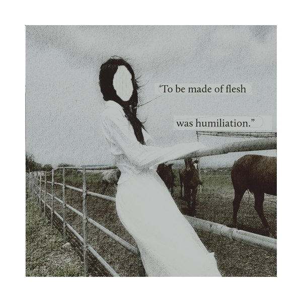 ᅠ⋆ᅠ 𝒽𝔞𝔢𝔰𝔬𝔬 tweet media